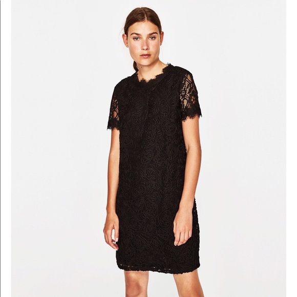 ZARA Black Lace Contrast Easy Pull On Dress - Picture 4 of 14